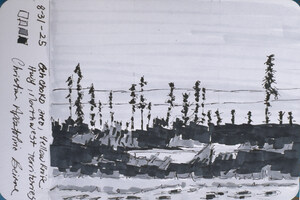 Artist Christine Apostolina Beirne Completes 99-Day Epic Arctic Adventure -- Capturing the Spirit of the North Through Daily Drawings and Paintings