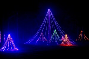 Wholly Cow Ice Cream &amp; Coffee Releases 2025 Charleston Christmas Lights Guide for Local Families