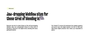 Blushush and Ohh My Brand Forge Strategic Alliance to Redefine Digital Branding and Web Experience