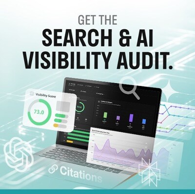 Search & AI Visibility Audit