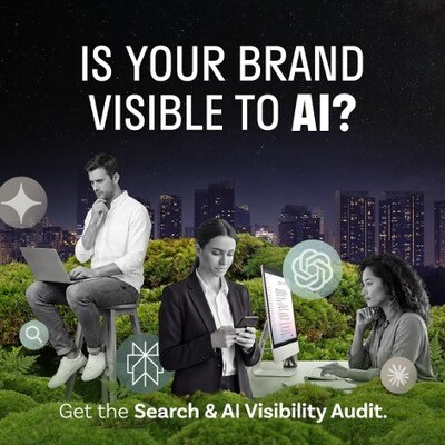 Search & AI Visibility Audit