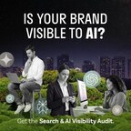Search & AI Visibility Audit
